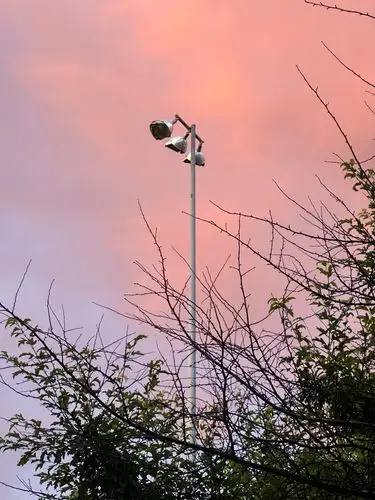 Cotton candy skies and a lone street light.